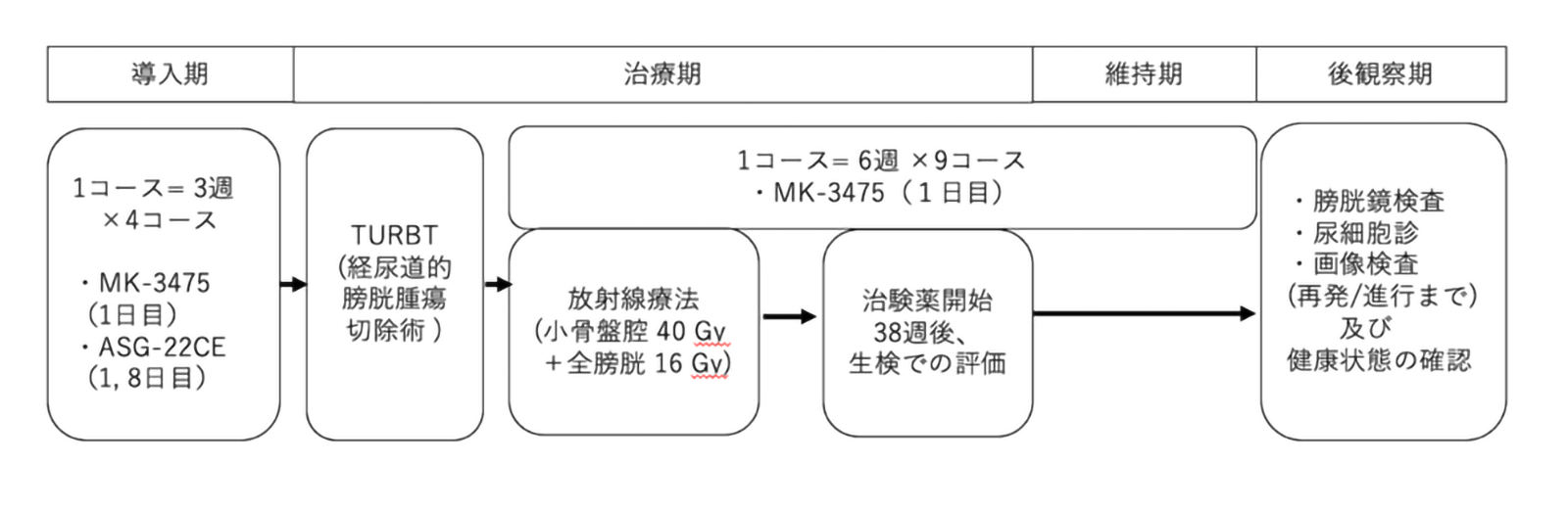 第Ⅱ相試験