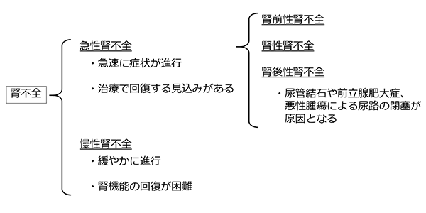 腎不全の種類